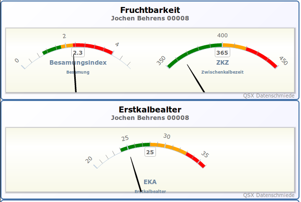 Darstellung Auswertung