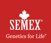 Semex